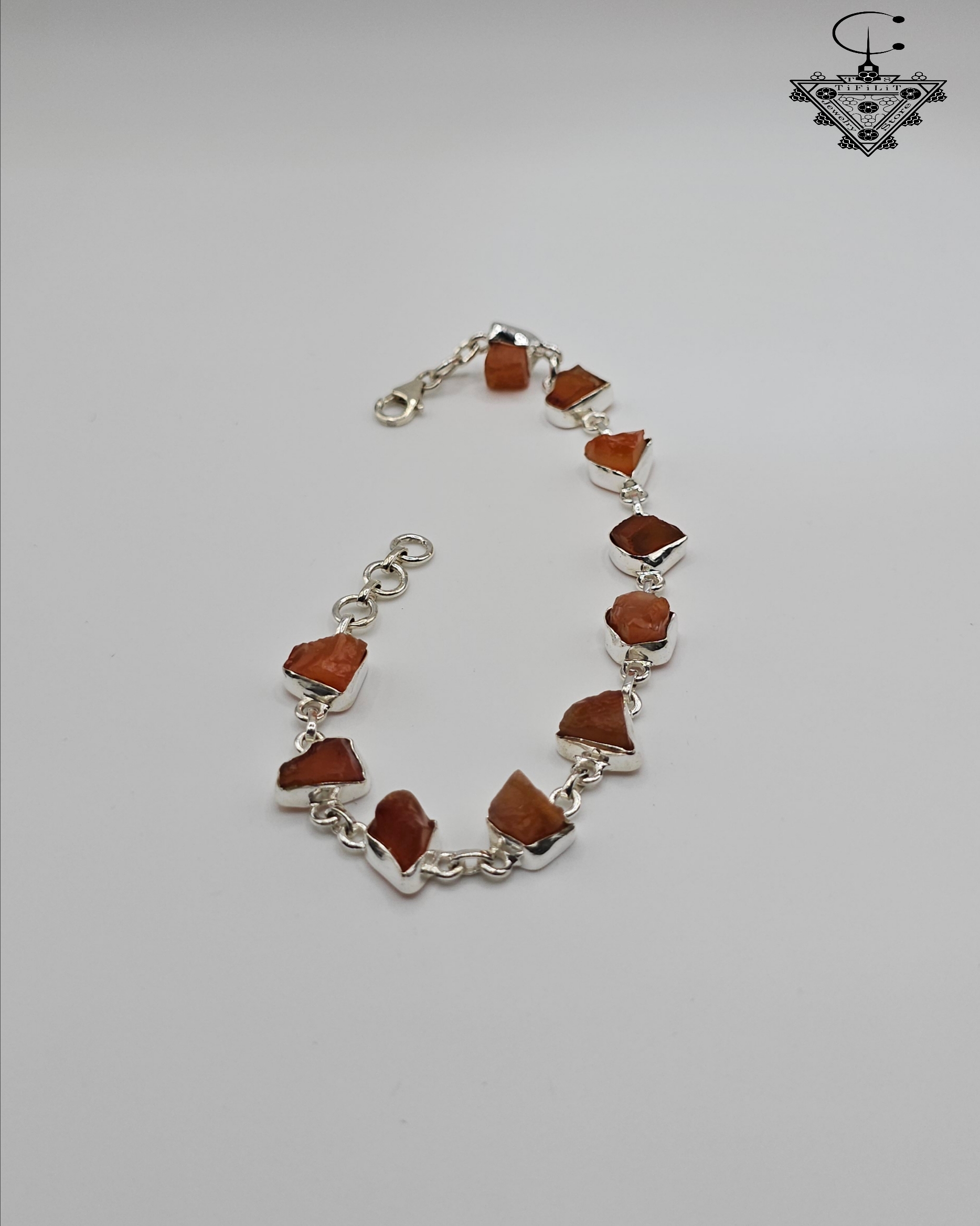 Polish_20251115_132506112